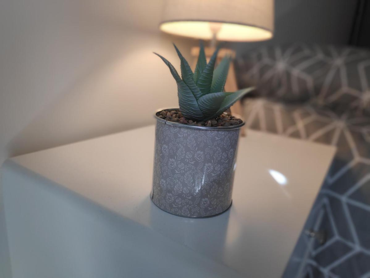Agreable T2 Neuf -Le Dome- Apartman Riom Kültér fotó